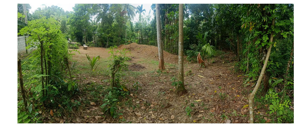 House for sale in Horana, House in Sri Lanka, Sell your property, Property management company in Sri Lanka.