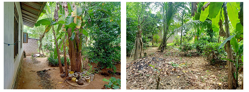 House for sale in Horana, House in Sri Lanka, Sell your property, Property management company in Sri Lanka.