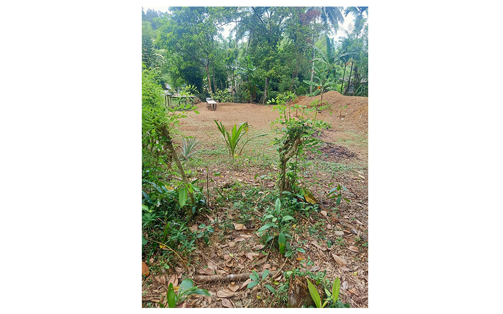 House for sale in Horana, House in Sri Lanka, Sell your property, Property management company in Sri Lanka.