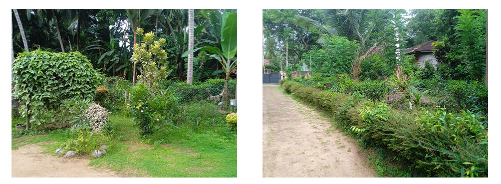 House for sale at Horana, Buy Land, House in Sri Lanka, Sell your property, Property management company in Sri Lanka.