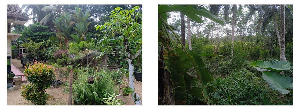 House for sale at Horana, Buy Land, House in Sri Lanka, Sell your property, Property management company in Sri Lanka.
