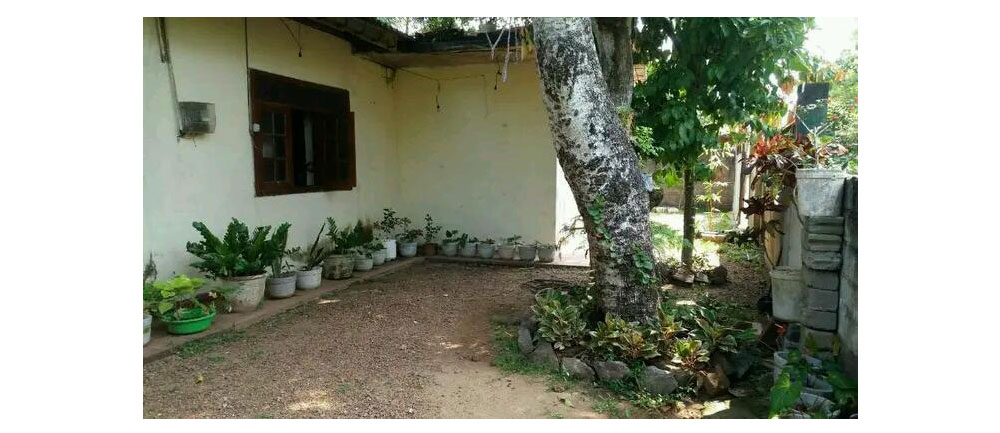 house for sale in Panadura, House in Sri Lanka, Sell your property, Property management company in Sri Lanka.