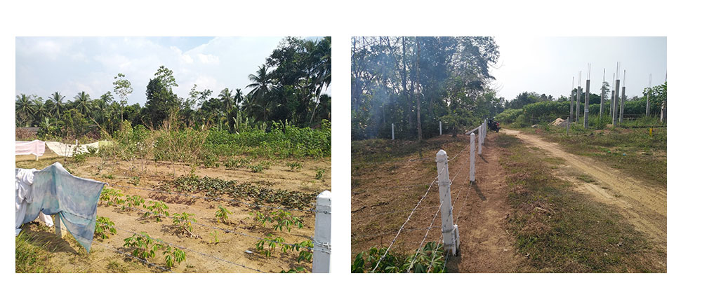 Land for sale in Horana,Buy Land, House in Sri Lanka, Sell your property, Property management company in Sri Lanka.