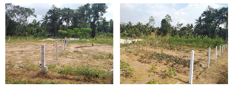 Land for sale in Horana,Buy Land, House in Sri Lanka, Sell your property, Property management company in Sri Lanka.