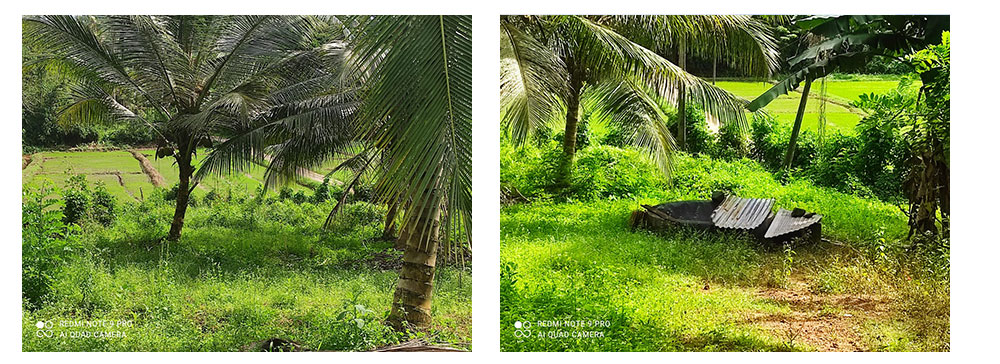 Land for sale in Horana,Buy Land, House in Sri Lanka, Sell your property, Property management company in Sri Lanka.