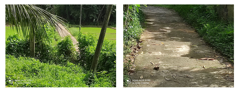 Land for sale in Horana,Buy Land, House in Sri Lanka, Sell your property, Property management company in Sri Lanka.