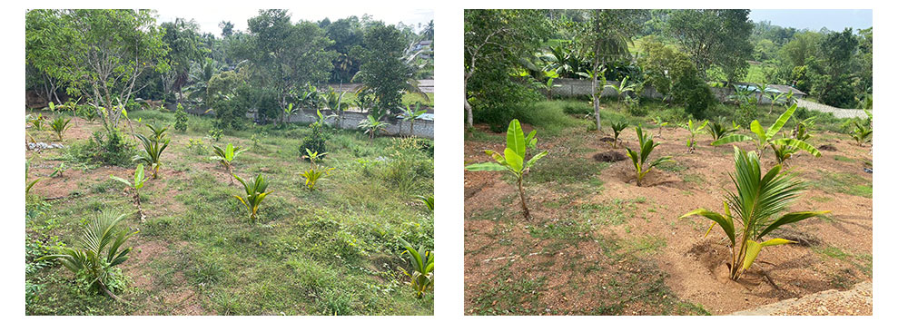 Land for sale in Kalutara,Buy Land, House in Sri Lanka, Sell your property, Property management company in Sri Lanka.