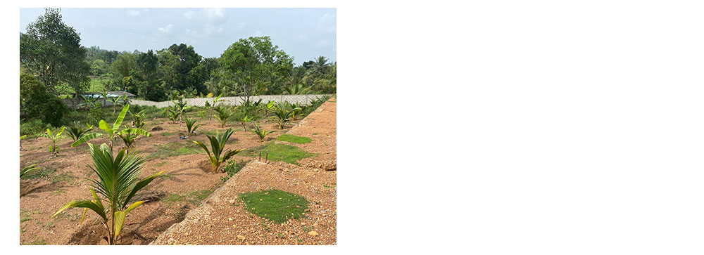 Land for sale in Kalutara,Buy Land, House in Sri Lanka, Sell your property, Property management company in Sri Lanka.