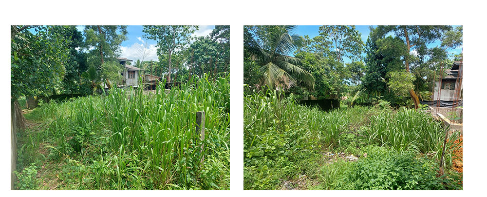 Land for sale in Panadura,Buy Land, House in Sri Lanka, Sell your property, Property management company in Sri Lanka.