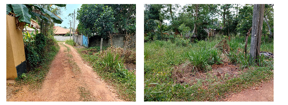 Land for sale in Panadura,Buy Land, House in Sri Lanka, Sell your property, Property management company in Sri Lanka.