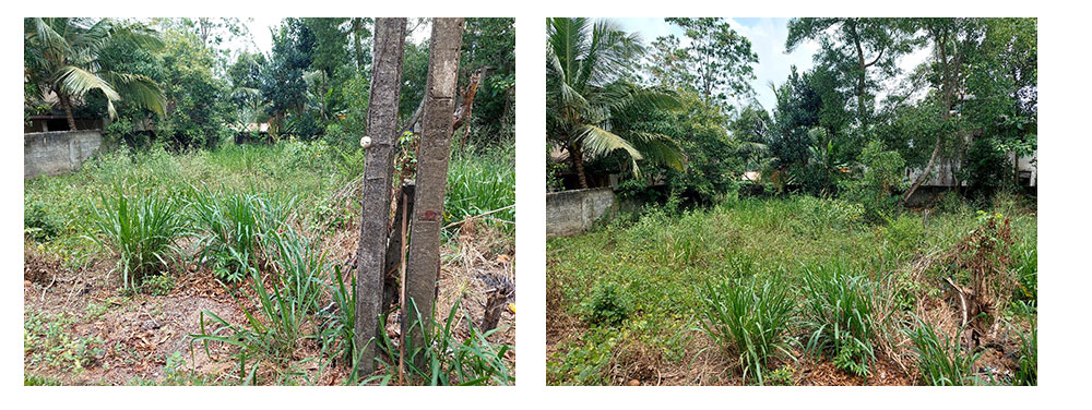 Land for sale in Panadura,Buy Land, House in Sri Lanka, Sell your property, Property management company in Sri Lanka.