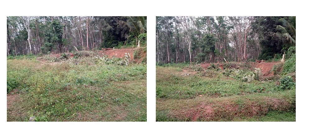 Land for sale in Panadura,Buy Land, House in Sri Lanka, Sell your property, Property management company in Sri Lanka.
