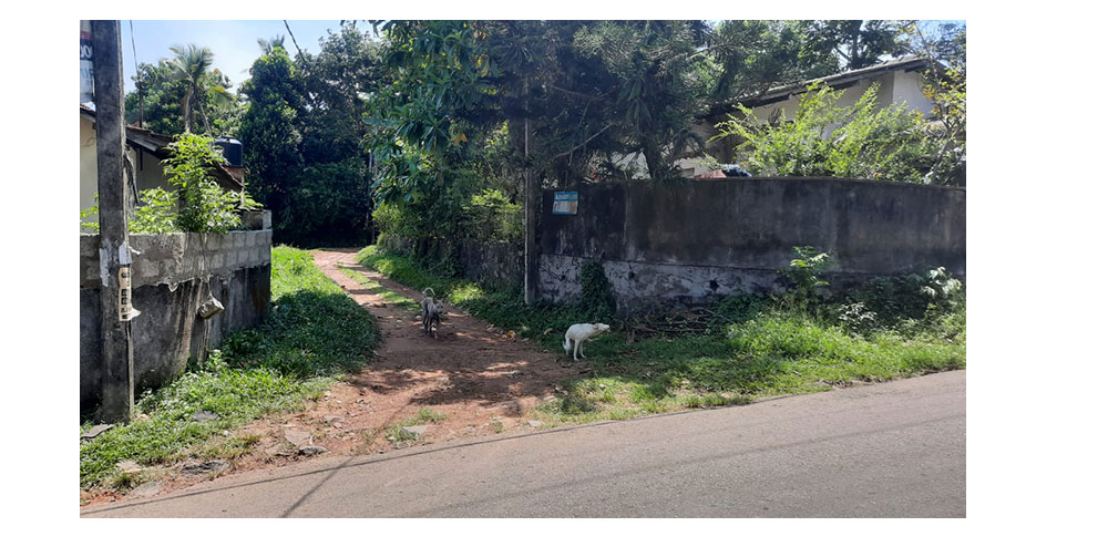 Land for sale in Panadura,Buy Land, House in Sri Lanka, Sell your property, Property management company in Sri Lanka.