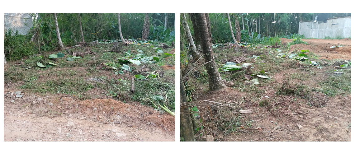 Land for sale in Panadura, Buy Land, Sell your land, Property management company in Sri Lanka.