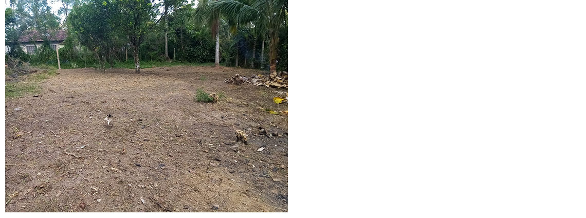 Land for sale in Kindelpitiya, Buy Land, Sell your Land, Property management company in Sri Lanka.